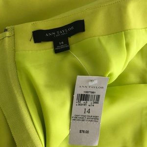 Anne Taylor skirt